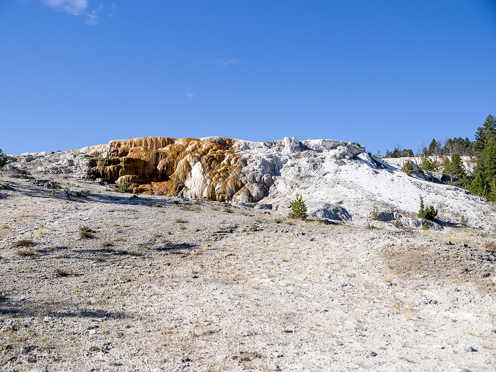 Mammoth
