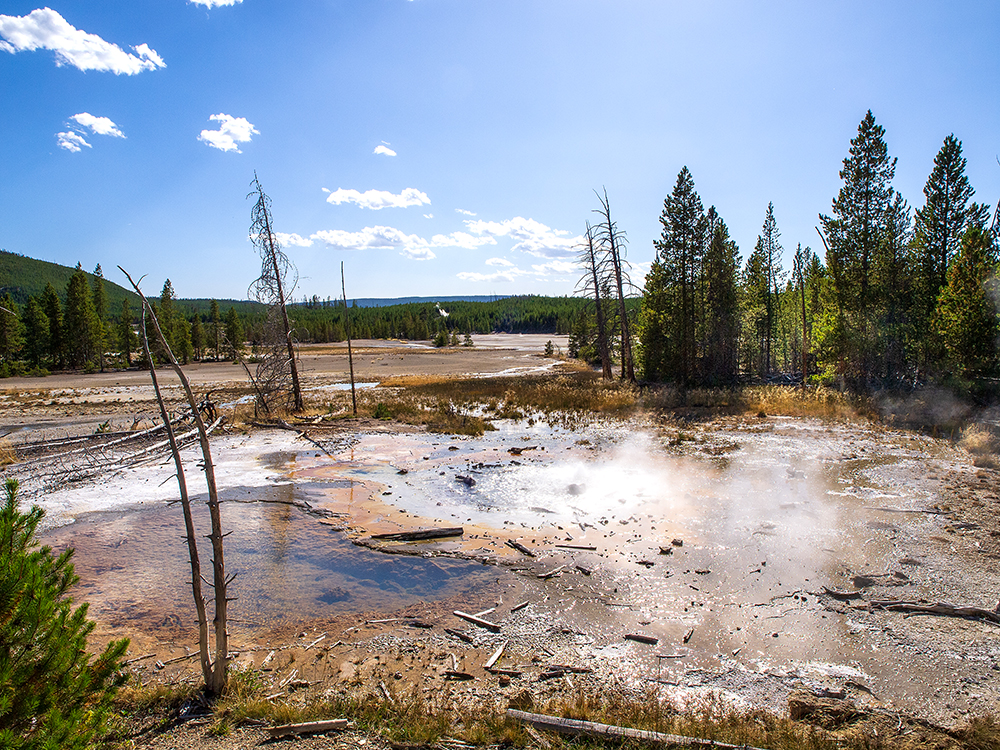Norris Basin
